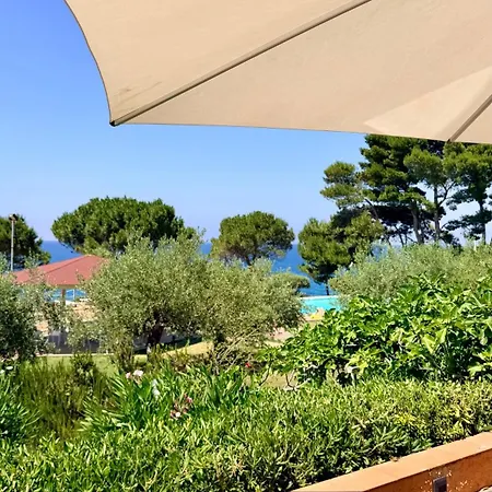 Villa Edo