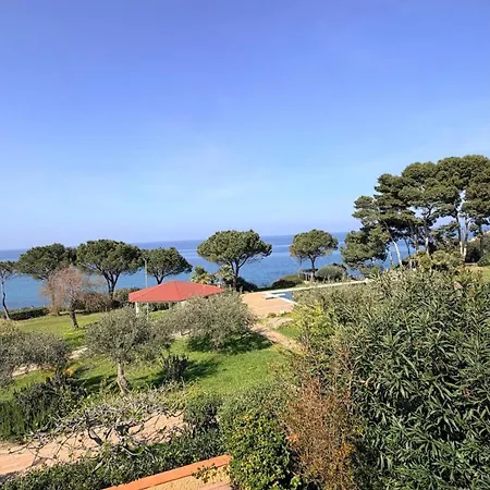 Villa Edo *